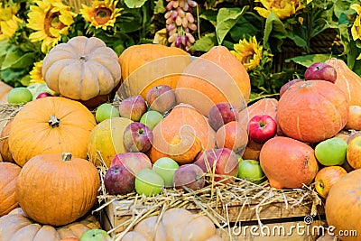 Autumn harvest - pumpkins and apples still life Stock Photo