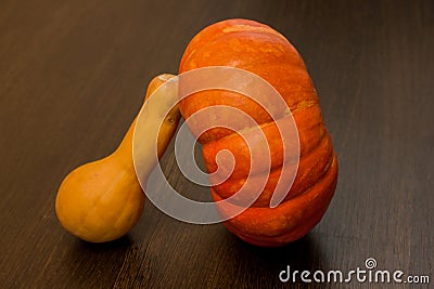 Autumn harvest - pumpkins and squash. Pumpkin and zucchini varieties. Stock Photo