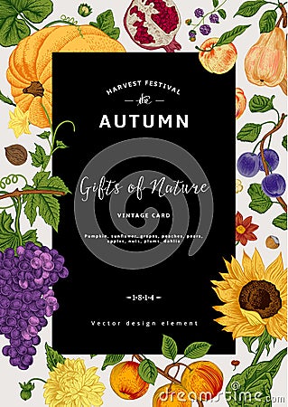 Autumn harvest. Vector Illustration