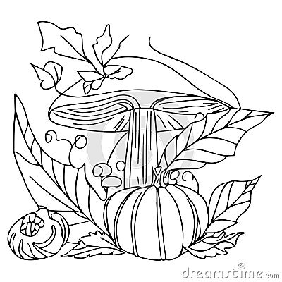 Autumn harvest vegetable pumpkin, mushroom, flowers Autumn Fall season coloring illustration pages Vector Illustration