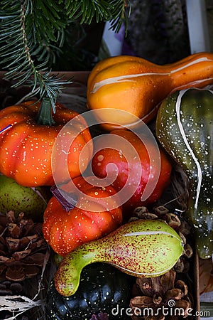 Autumn harvesting agriculture scenery with pumpkins, red peppers, autumn vegetables, bale of hay Stock Photo