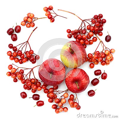 Autumn harvesting. Composition of fruits, berries on a white background. Apples, viburnum, dogwood Stock Photo