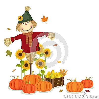 Autumn harvesting with cute scarecrow and pumpkins Vector Illustration