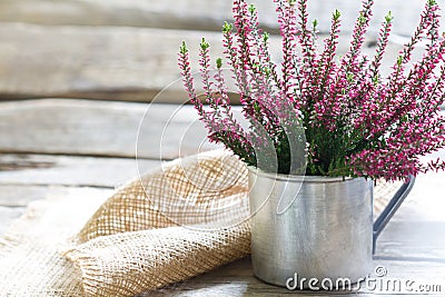 Autumn heather in cup on wooden boards background Stock Photo