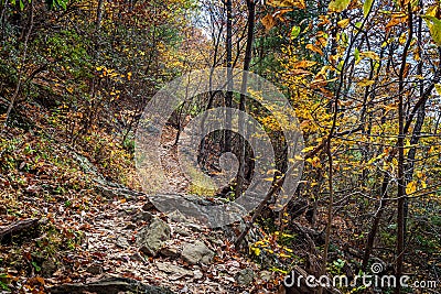 Autumn Hike in the Woods Stock Photo