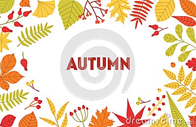 Autumn horizontal background with frame made of fallen tree leaves and berries on white background. Seasonal backdrop Vector Illustration