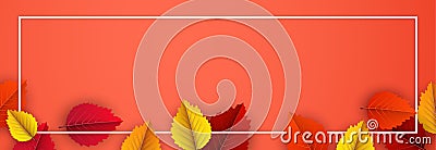 Autumn horizontal banner with colorful birch leaves Vector Illustration