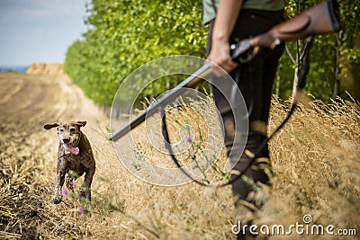 Autumn hunting season. Hunting. Stock Photo