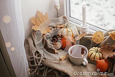 Autumn hygge. Warm cup of tea, pumpkins, fall leaves, candle, lights bokeh on cozy scarf on windowsill. Happy Thanksgiving. Cozy Stock Photo