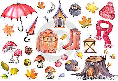 Autumn illustration of umbrellas, knitwear clothing, rubber boots, apples, mushrooms, cute owl, hedghog and colorful leaves. Cartoon Illustration