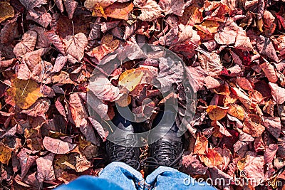 Autumn image of legs in black boots on the colorful leaves. Golden season. Stock Photo