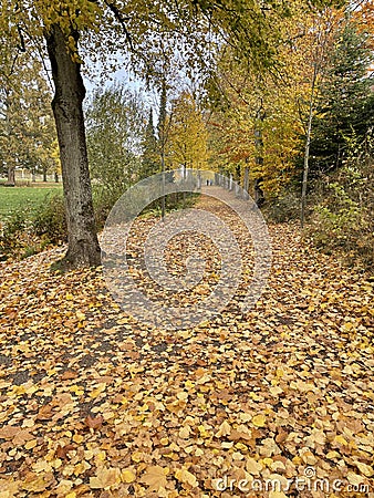Autumn impression Stock Photo
