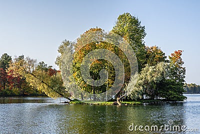 Autumn island with a crooked growing trees Stock Photo