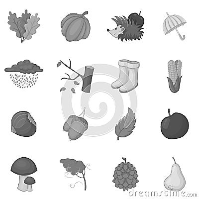 Autumn items icons set monochrome Vector Illustration