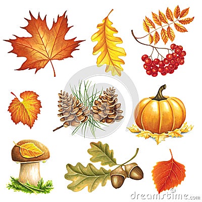 Autumn items painted markers Stock Photo