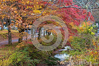Autumn Japan Stock Photo