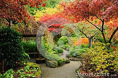 Autumn japanese garden Stock Photo