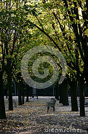 Autumn in the Jardin du Luxembourg Stock Photo