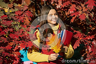 Autumn kid girl face on autumn fall leaf background. positive girl hold workbook on autumn leaves background Stock Photo