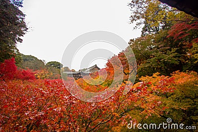 Autumn in Kyoto , Japan. Stock Photo