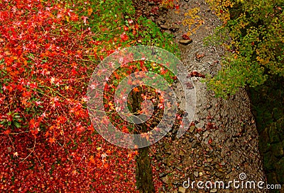 Autumn in Kyoto , Japan. Stock Photo