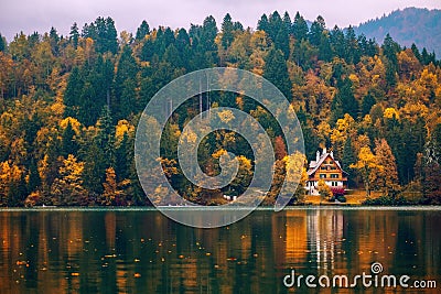 Autumn at lake Bled Editorial Stock Photo