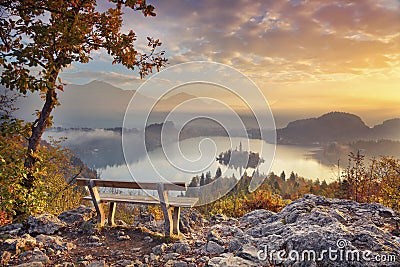 Autumn Lake Bled. Stock Photo