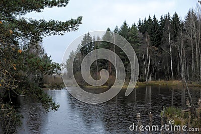 The lake covered with first thin ice Stock Photo