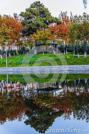 Autumn lake and trees Editorial Stock Photo