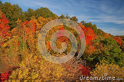 Autumn landscape Stock Photo