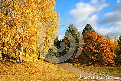 Autumn Landscape Stock Photo