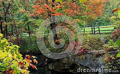 Autumn Landscape Stock Photo