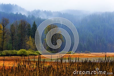 Autumn landscape along the Santiam Pass Stock Photo