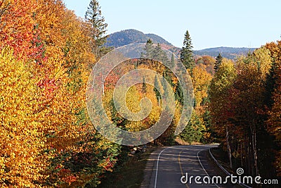 Autumn landscape Stock Photo