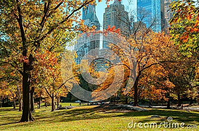 Autumn landscape in Central Park. New York City. USA Editorial Stock Photo