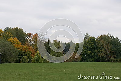 Autumn landscape in the city park. The trees show colorful autumn leaves Stock Photo