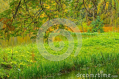 Autumn landscape, colorful leaves on trees with river or lake Stock Photo