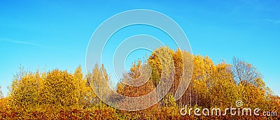 Autumn landscape with colorful trees, shrubs and blue sky. Autumn panorama. Sunny autumn day in foliar forest Stock Photo