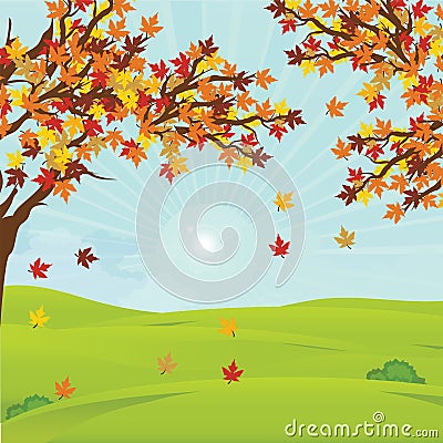 Autumn landscape with fall leaves on the branches of trees on field in sunny day. Vector Illustration