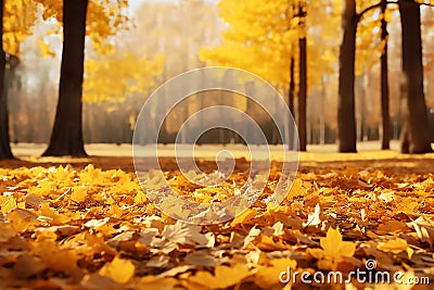 Autumn landscape with golden trees in the park on a sunny day. An atmosphere of calm. Beautiful autumn blurred background. Stock Photo