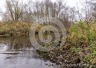 Autumn landscape gray and cloudy day, river bank with bare trees and bushes, bank reflection in river water Stock Photo