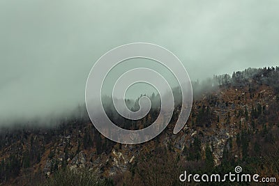 Autumn landscape misty forest mountain brown foggy nature scenic view background moody photo Stock Photo