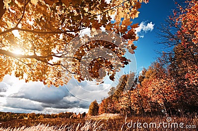 Autumn landscape Stock Photo