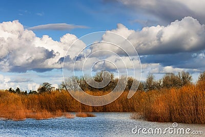 Autumn Landscape of natural wetlands under cloudy skies Stock Photo