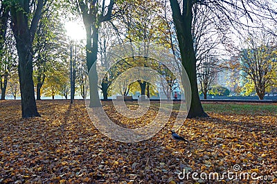 Autumn landscape in the Park, walk in the Park in autumn Stock Photo