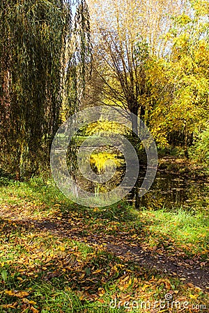 Autumn Landscape. Paths In The Park Are Covered With Yellowed Fallen Leaves Stock Photo