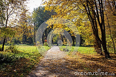 Autumn Landscape. Paths In The Park Are Covered With Yellowed Fallen Leaves Stock Photo