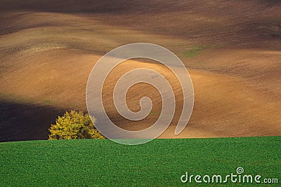 Autumn landscape with trees and waved fields. Stock Photo