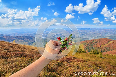 Autumn landscape - a view of a lingonberry sprig in the hand of a tourist woman Stock Photo