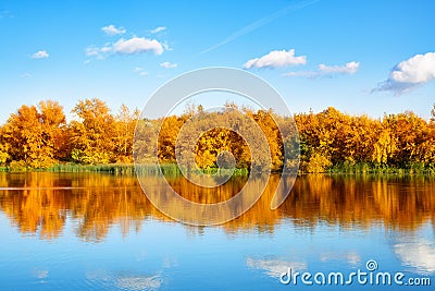 Autumn landscape, yellow leaves trees on river bank on blue sky and white clouds background on sunny day, reflection in water Stock Photo